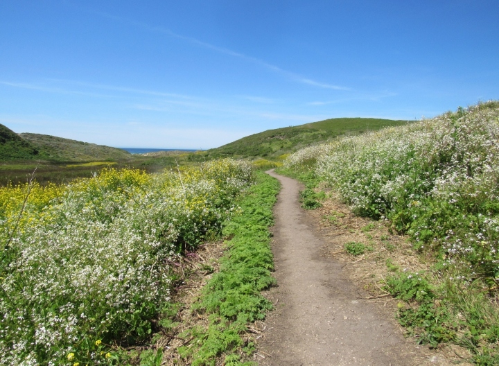Herp Habitat
